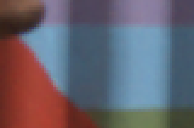 80 pixels of bilinear-interpolated image